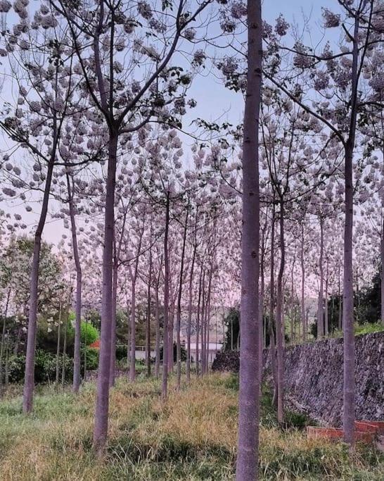 La Caseta De Rotova - Casa Rural Para Desconectar المظهر الخارجي الصورة