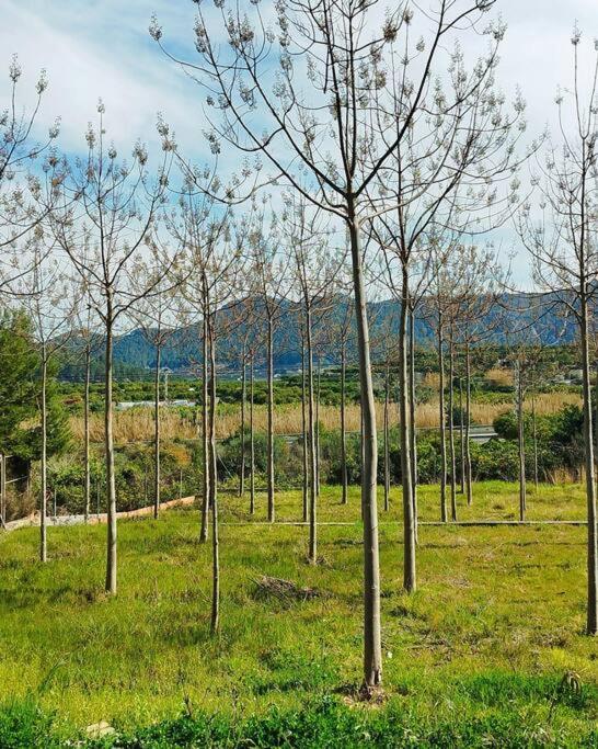 La Caseta De Rotova - Casa Rural Para Desconectar المظهر الخارجي الصورة